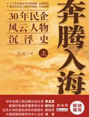 奔腾入海：三十年民企风云人物沉浮史 - 吴比