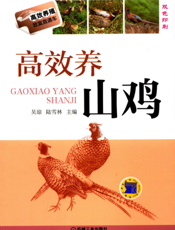 高效养山鸡