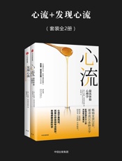 心流+发现心流