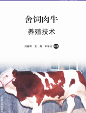 舍饲肉牛养殖技术