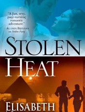 Stolen Heat - Elisabeth Naughton