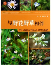 与野花野草相伴 - 王辰，高新宇
