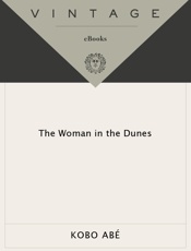 The Woman in the Dunes - Kobo Abe