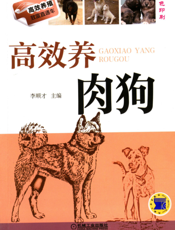高效养肉狗
