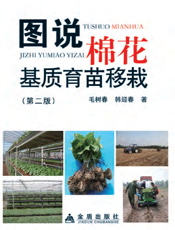 图说棉花基质育苗移栽