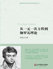 从一元一次方程到伽罗瓦理论