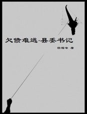 欠债难逃·县委书记