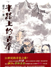 半路上的青春