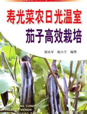 寿光菜农日光温室茄子高效栽培