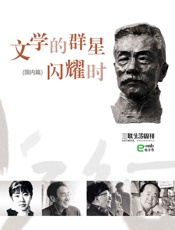 文学的群星闪耀时——国内篇
