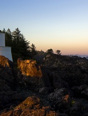 世界上所有的夜晚