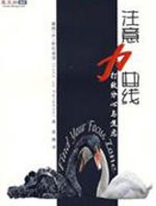 注意力曲线——打败分心与焦虑 - 露西·乔·帕拉迪诺