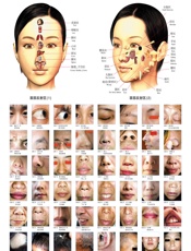 望面诊病挂图 - 赵理明