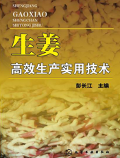 生姜高效生产实用技术