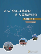 2.5产业的战略定位和发展路径研究——以银川为例