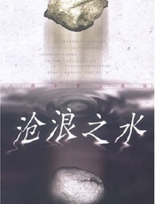 沧浪之水 - 阎真