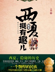 西夏其实很有趣儿