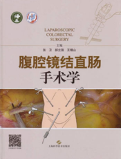 腹腔镜结直肠手术学
