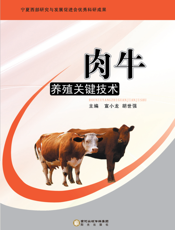肉牛养殖关键技术