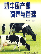 奶 牛 围 产 期 饲 养 与 管 理