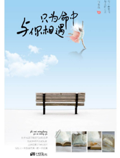 只为命中与你相遇