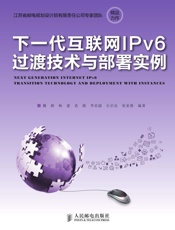 下一代互联网IPv6过渡技术与部署实例
