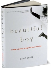 Beautiful Boy_ A Father's Journ - David Sheff