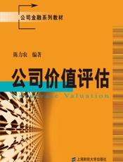 公司价值评估