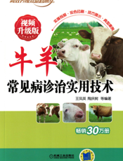 牛羊常见病诊治实用技术_视频升级版