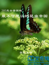 360度全景探秘_最不可思议的昆虫帝国