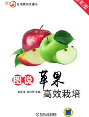 图说苹果高效栽培（全彩版）