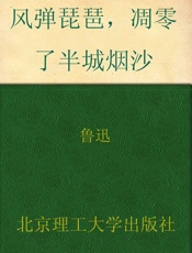 风弹琵琶，凋零了半城烟沙