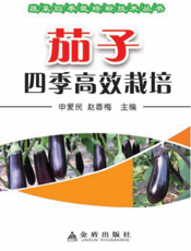 茄子四季高效栽培