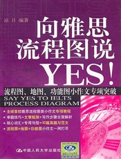 向雅思流程图说YES!
