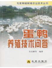 蛋鸭养殖技术问答