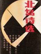 北岛诗选