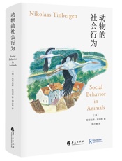 动物的社会行为