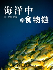 海洋中的食物链