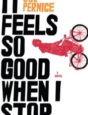 It Feels So Good When I Stop - Joe Pernice