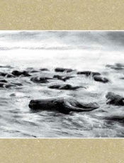 写意蓬安 - 黄振海,周小丁