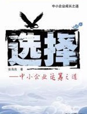 选择——中小企业运筹之道
