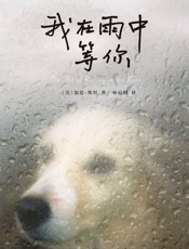 《我在雨中等你》---加思•斯坦
