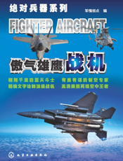 傲气雄鹰——战机