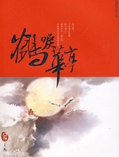 鹤唳华亭 - 雪满梁园