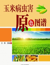 玉米病虫害原色图谱 - 王燕