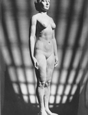 [平均的终结：如何在崇尚标准化的世界中胜出]托德·罗斯