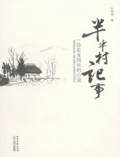半半村记事：一位农村局长的小说