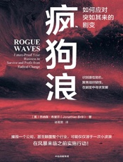 疯狗浪：如何应对突如其来的剧变 - ［美］乔纳森• 布里尔
