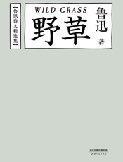 鲁迅诗文精选集：野草