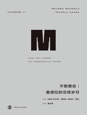 不敢懈怠：曼德拉的总统岁月
